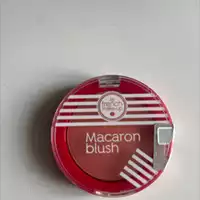 LE FRENCH MAKE-UP - Macaron blush