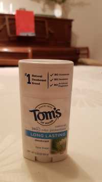 TOM'S OF MAINE - Tea tree - Déodorant long lasting 24h