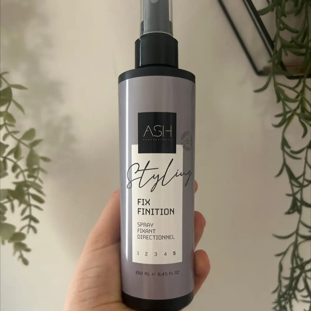 ASH PROFESSIONAL - Fix finition - Spray fixant directionnel