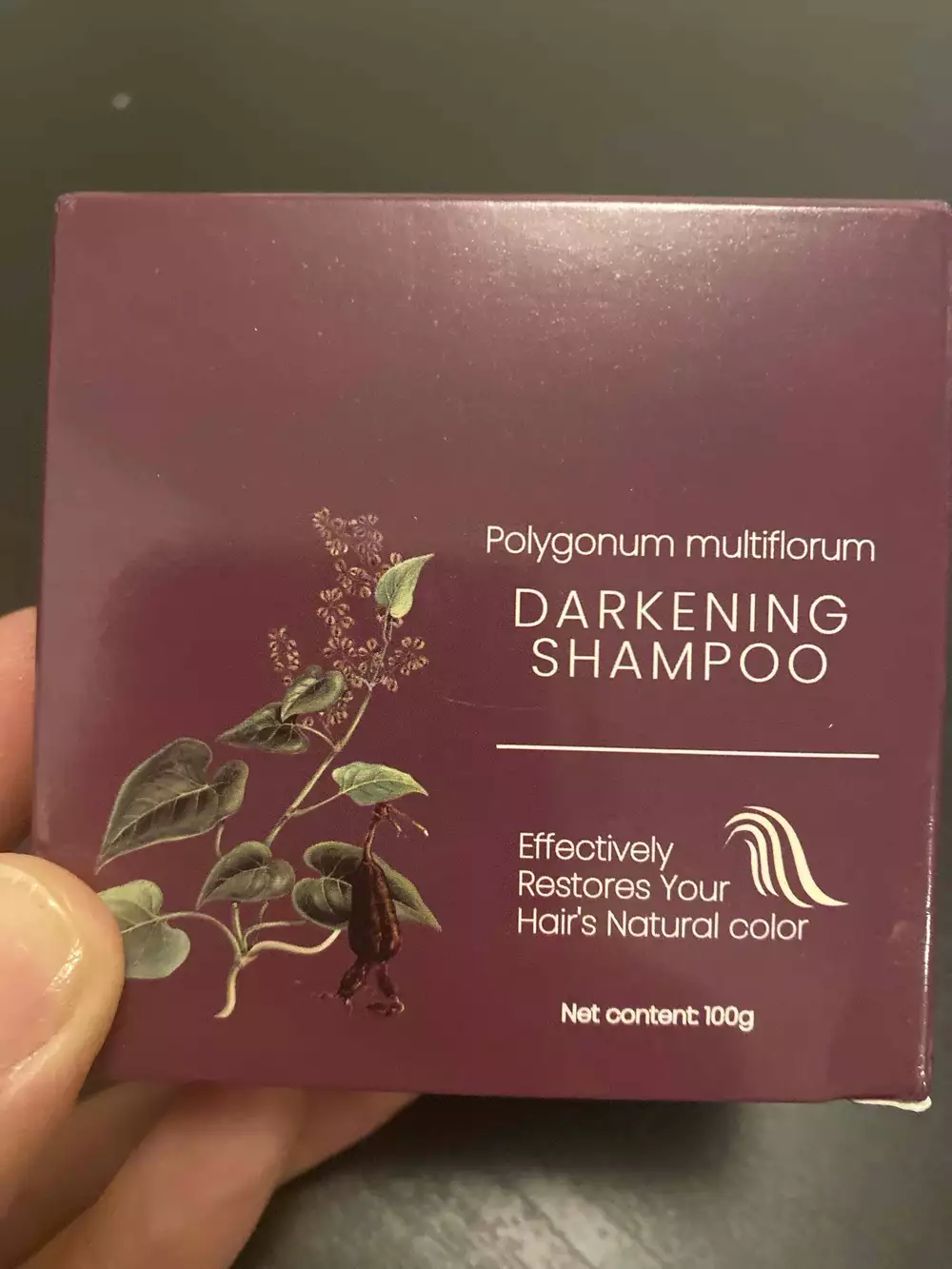 SLAPWOODS - Darkening shampoo 