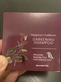 SLAPWOODS - Darkening shampoo 