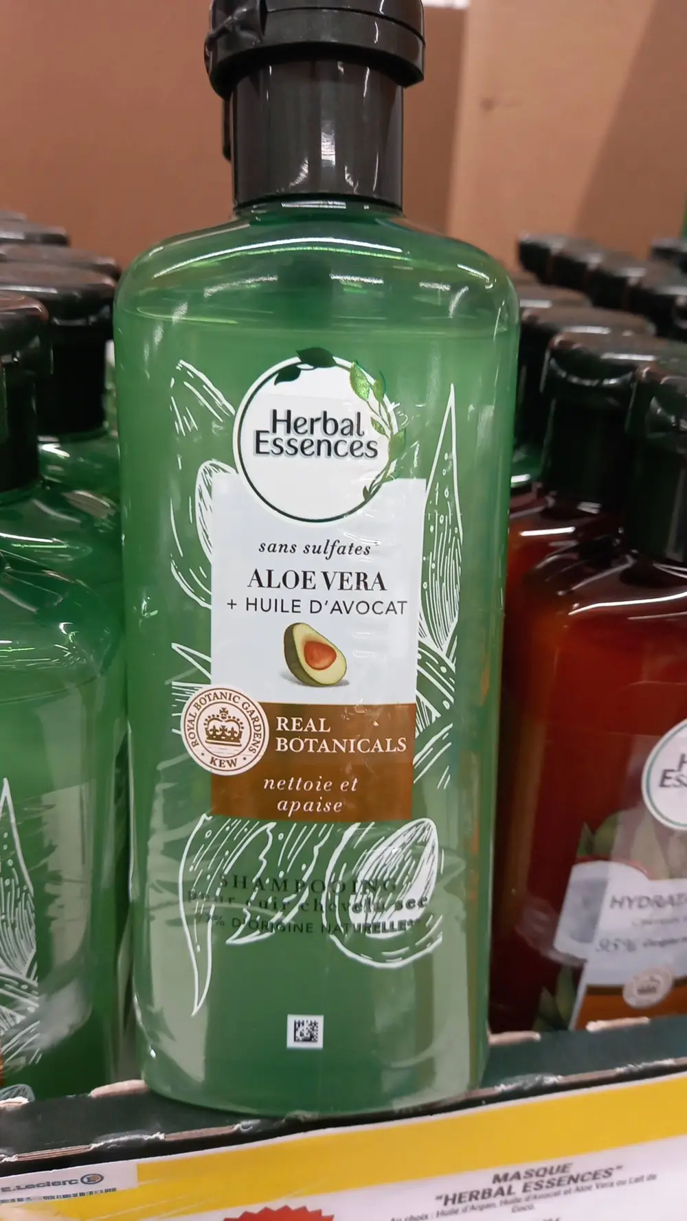 HERBAL ESSENCES - Real botanicals - Shampooing aloe vera + huile d'avocat