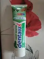 DENTALUX - Junior - Dentifrice goût menthe