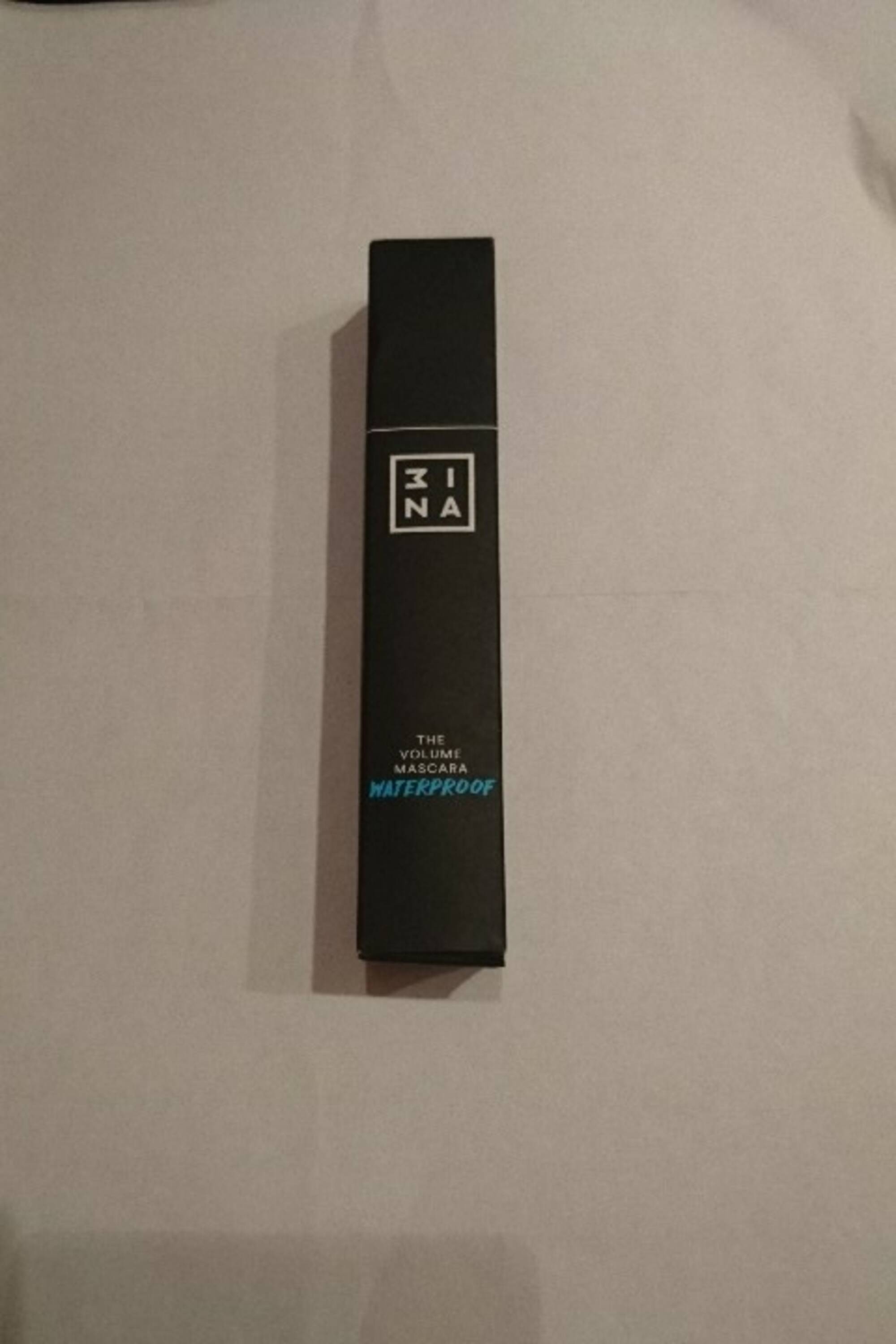 3INA - The volume mascara waterproof