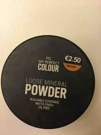 PRIMARK - My perfect colour - Loose mineral powder caramel