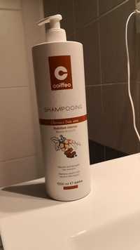 COIFFEO - Shampooing cheveux très secs