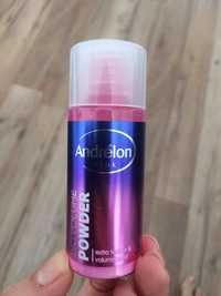 ANDRÉLON - Pink - Big volume powder