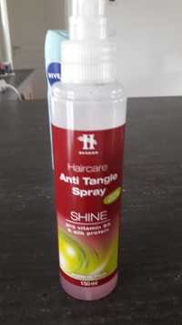 HEGRON - Shine - Anti Tangle spray