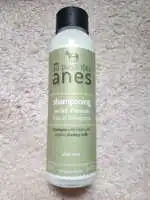 AU PAYS DES ÂNES - Shampooing au lait d'ânesse