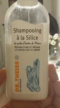 DR THEISS - Shampooing à la silice du jardin d'herbes de Maria