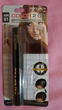 ABSOLUTE NEW YORK - Color 2 GO - Mascara à retouches pour cheveux gris