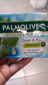 PALMOLIVE - Hygiene-plus Clean & Fresh - Bar soap eucalyptus