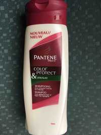 PANTENE PRO-V - Color protect & lisse glad - Shampooing