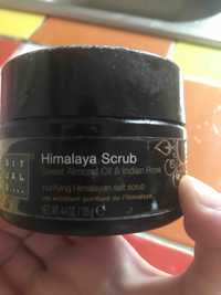 RITUALS - Himalaya scrub - Sel exfoliant purifiant
