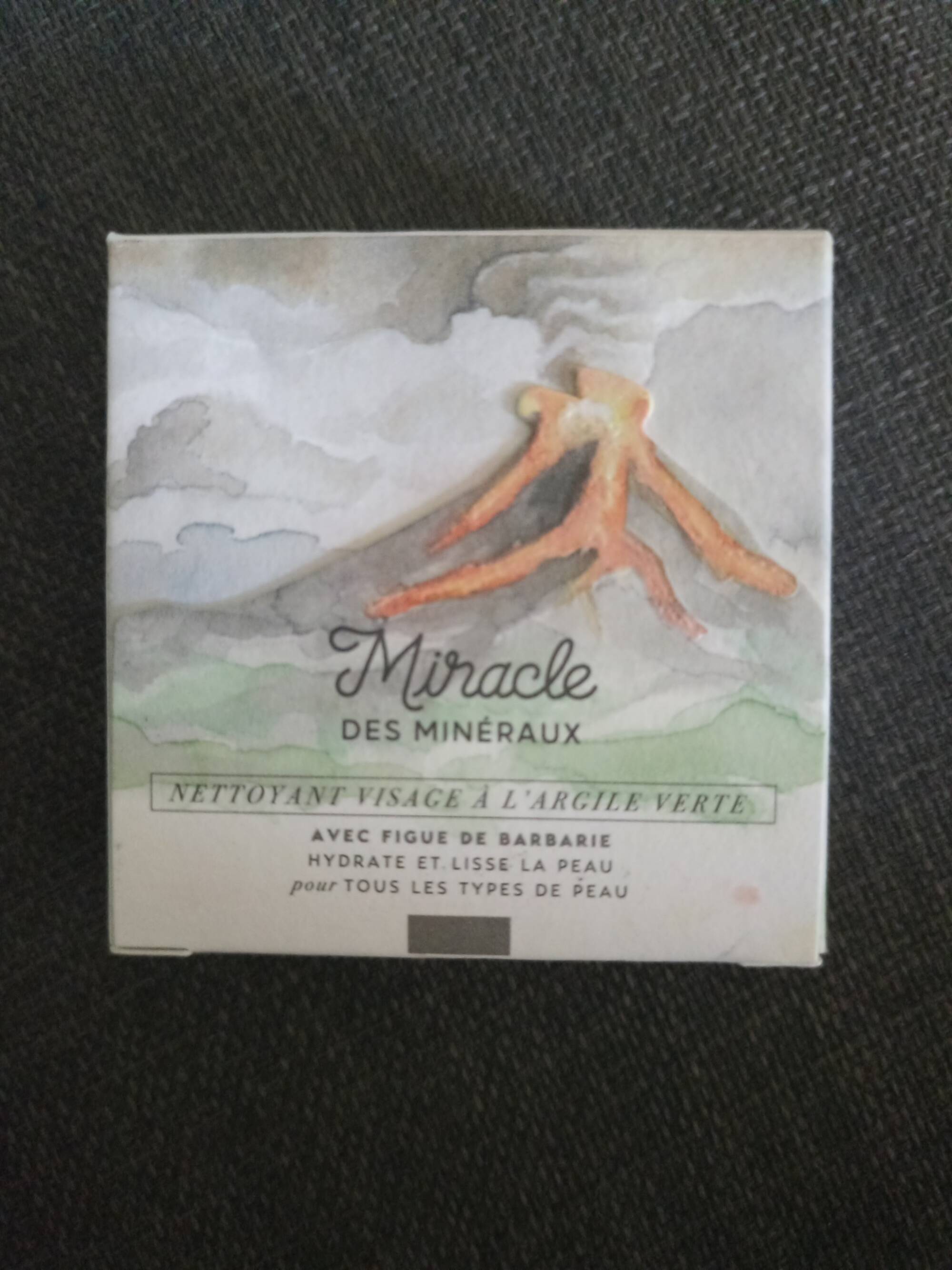SAVON STORIES - Miracle des minéraux - Nettoyant visage à l'argile verte