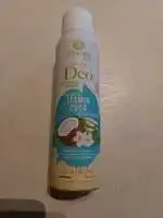 O'LYSEE BIO - Fleurs de jasmin - Mon p'it déo pour elle 24h