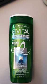 L'ORÉAL - Elvital - Anti-schuppen shampoo + spülung