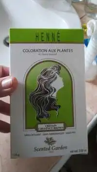 HENNÉ - Coloration aux plantes - Châtain