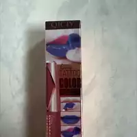 QICIY - Tatoo Color