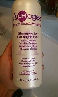 APHOGEE - Shampooing pour cheveux abîmés