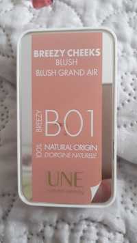 UNE NATURAL BEAUTY - Breezy cheeks B01 - Blush grand air