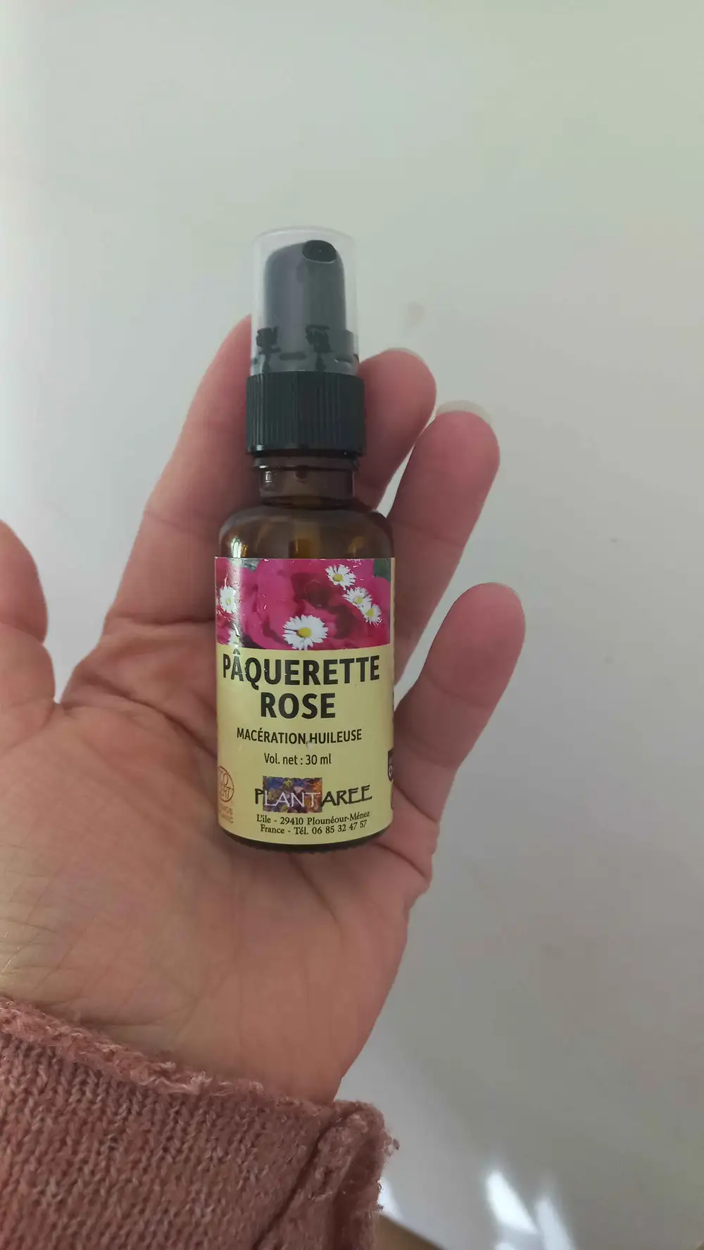 PLANTAREE - Pâquerette rose macération huileuse