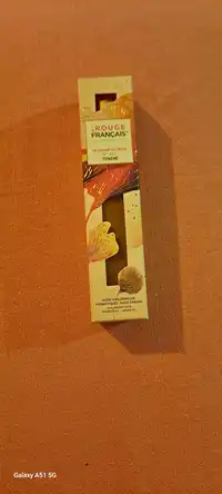 LE ROUGE FRANÇAIS - Le fluide de teint n° 881 ténéré