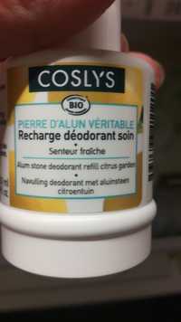 COSLYS - Pierre d'alun véritable - Recharge déodorant soin bio