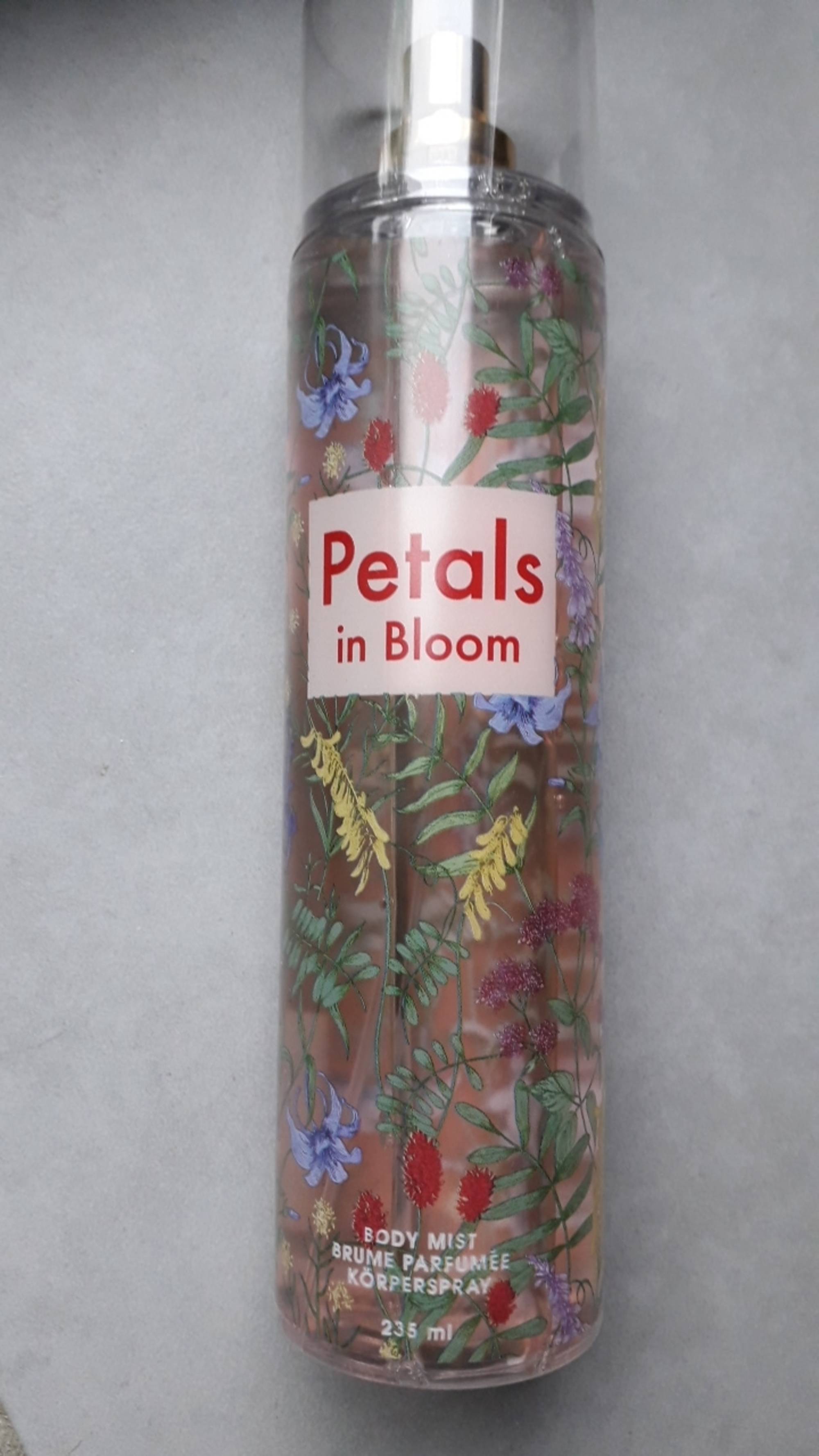 ORANGE CREATIVES - Petals in bloom - Brume parfumée