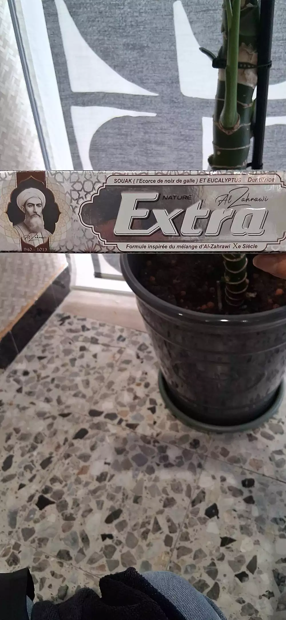 EXTRA - Dentifrice eucalyptus naturel