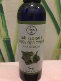 ELIXIRS & CO - Eau florale sauge officinale bio