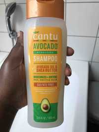 CANTU - Shampoo with avocado oil & shea butter