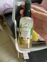 HERBAL ESSENCES PURE - Huile capillaire coconut & aloe