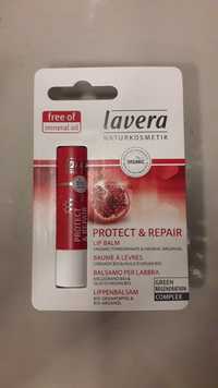 LAVERA - Protect & repair - Baume à lèvres