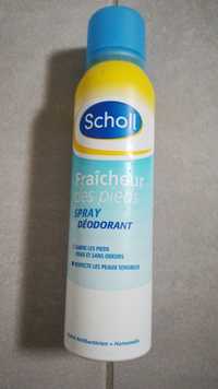SCHOLL - Fraîcheur des pieds - Spray déodorant