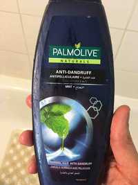 PALMOLIVE - Shampoo antipelliculaire 2 in 1