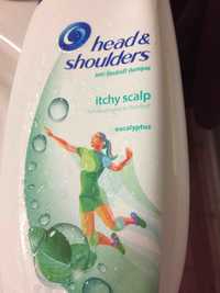 HEAD & SHOULDERS - Itchy scalp - Anti-dandruff shampoo