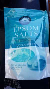 ELYSIUM SPA - Epsom salts - Ocean breeze