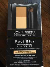 JOHN FRIEDA - Root blur - Colour blending concealer