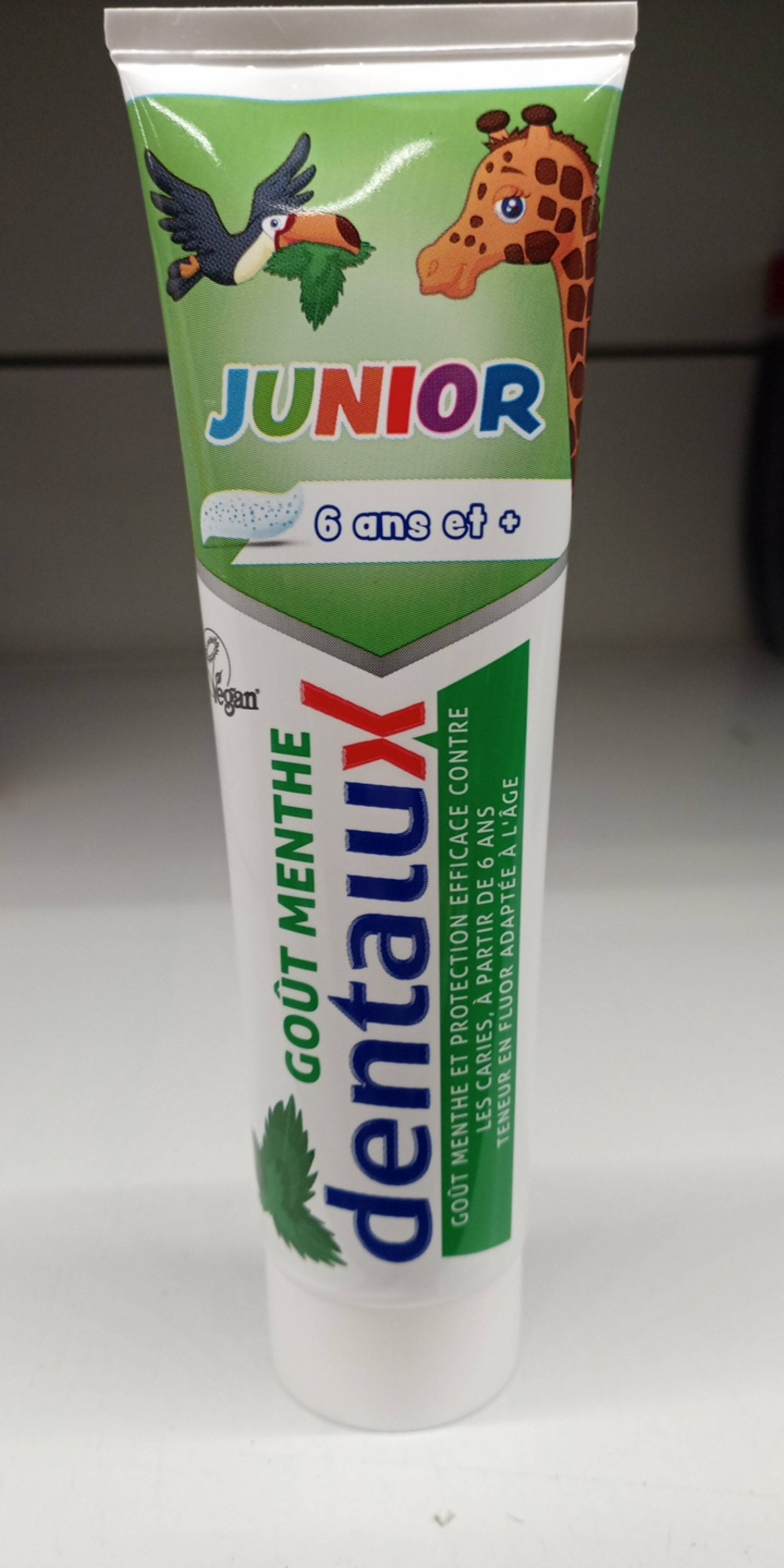 DENTALUX - Dentifrice junior goût menthe