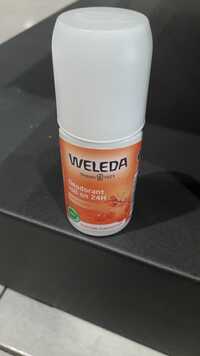 WELEDA - Déodorant roll-on 24h