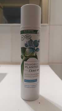 DOVE - Pouvoir des plantes - Déodorant 24h eucalyptus