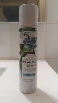 DOVE - Pouvoir des plantes - Déodorant 24h eucalyptus