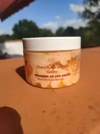 SAVONNERIE-BORMES - Gelato - Chantilly de douche