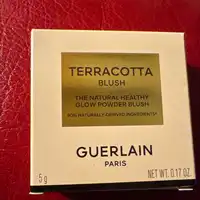 GUERLAIN - Terracotta Blush 02