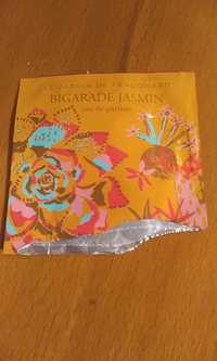 FRAGONARD - Le jardin de Fragonard - Bigarade de jasmin