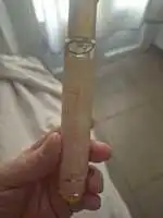 ADOPT' - Délice enchanté - Eau de parfum