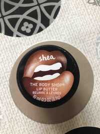 THE BODY SHOP - Shea - Beurre à lèvres