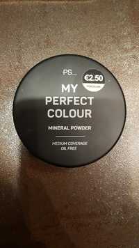 PRIMARK - My perfect colour porcelain - Mineral powder medium coverage