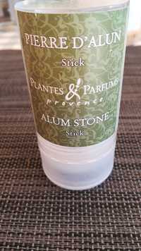 PLANTES & PARFUMS PROVENCE - Alum stone - Pierre d'alun stick